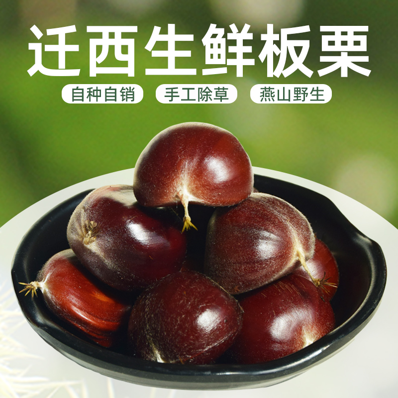 2025年迁西生鲜板栗生