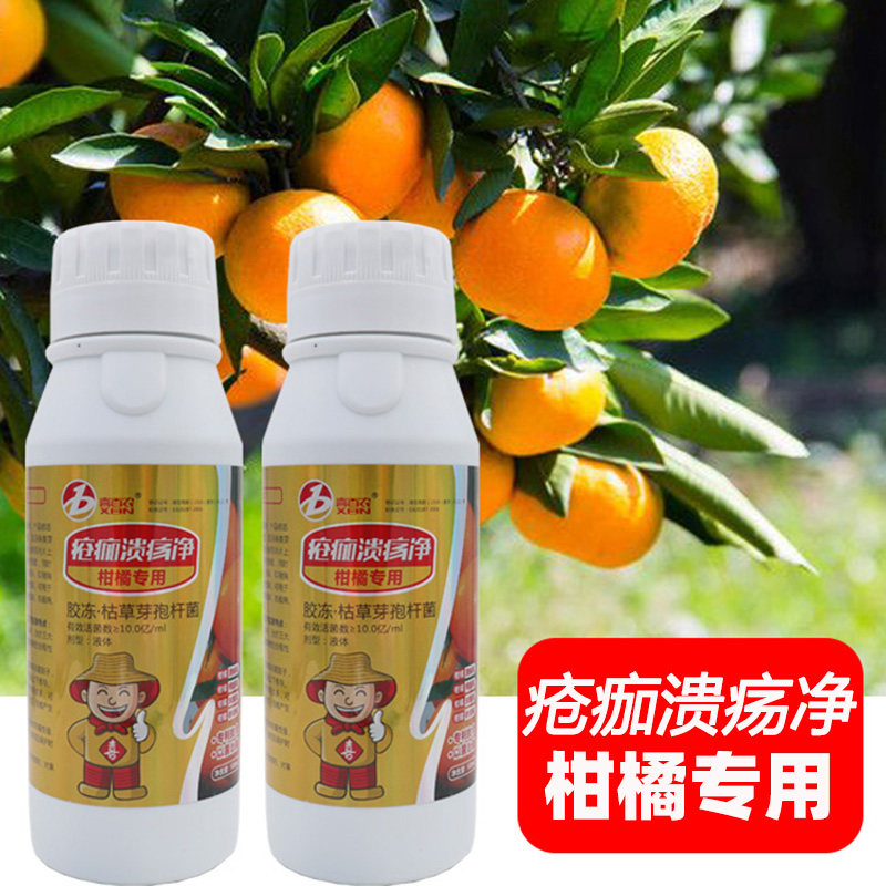 柑橘专用杀菌剂胶冻枯草芽孢杆菌生物菌剂柑橘溃疡病沙皮病炭疽病