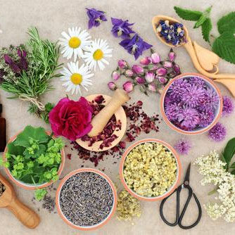 f052郑雅文设计素材图片文件