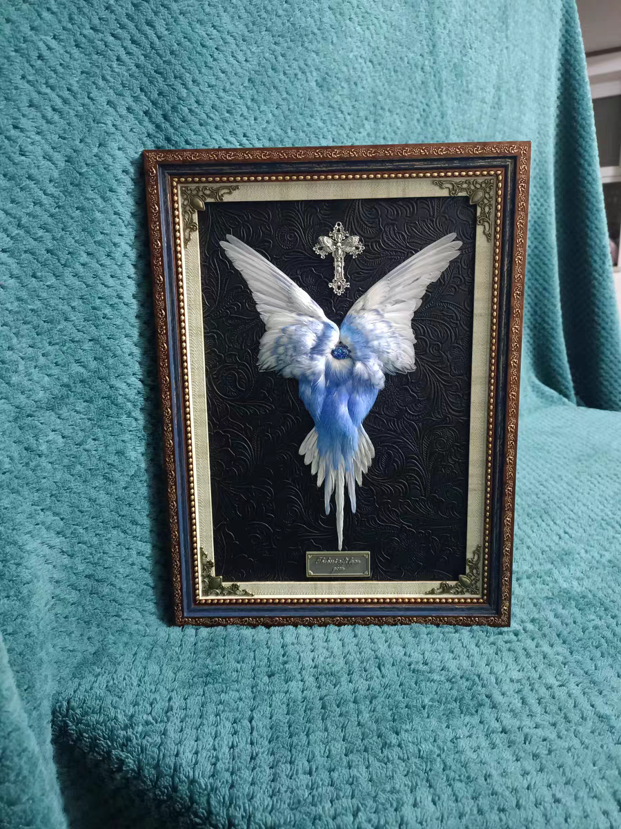 鹦鹉标本蝴蝶标本挂画摆台生日礼物真羽毛皮纯手工干花永生浮游花