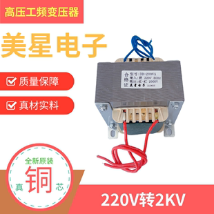 10KV点火 2000V3KV5KV环氧封装 220V转2KV 高压工频电源变压器50Hz