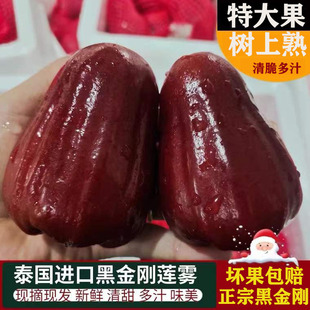 4个特大果新鲜5斤 泰国黑金刚莲雾1斤3 包邮 孕妇水果 顺丰
