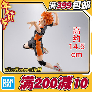 现货 万代 SHF 日向翔阳 排球少年 小排球 可动成品手办