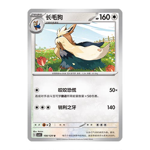 正版简中PTCG宝可梦12.0 嘉奖回合 长毛狗 CSV4C