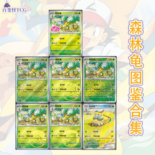 正版简中PTCG宝可梦 宝石包第四弹Vol.4 树林龟 CBB4C