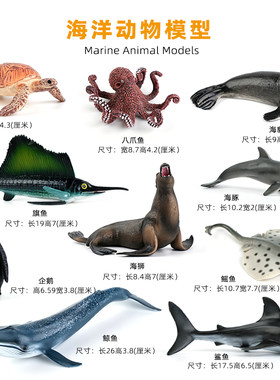 早教教具萌学硅胶仿真动海洋