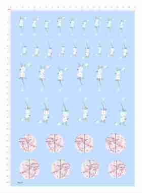 79634 中国风 花纹 桃花银杏模型水贴可撕膜不干胶定制打印2403