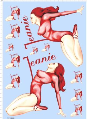 72115整版胶 JEANIE 美女 模型水贴