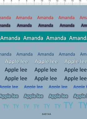 64814A amamda apple lee ty四驱车水贴water decal custom made1