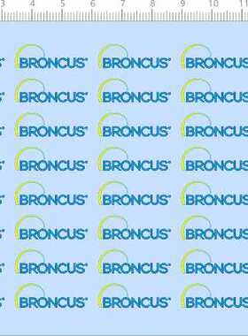 67980整版胶BRONCUS个性签名英文名适用于比例模型剪纸水贴纸定做