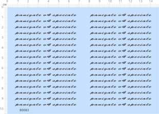 speciale水贴纸模型现货 胶英文名签名铭牌panigale 80083整版