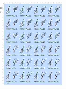 82860无比例远望YUAN WANG模型水贴不干胶独立胶位模切单独现货