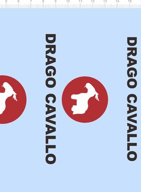 72010整版胶 DRAGO CAVALLO 飞马 模型水贴