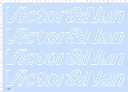 80009整版胶英文名签名铭牌水贴纸模型定做订做定制Victor Nan