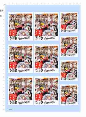 85041 big6 vdencla 2017 摩托车赛车照片模型水贴不干胶现货