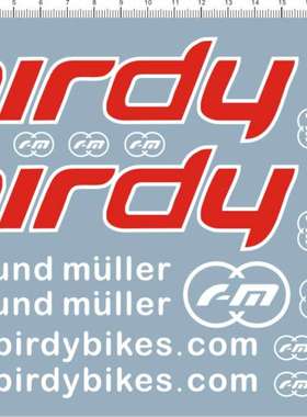 5277-B1405 个性签名英文名birdy 水贴纸电镀金银红蓝