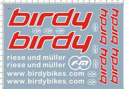 5277-B1405 个性签名英文名birdy 水贴纸电镀金银红蓝