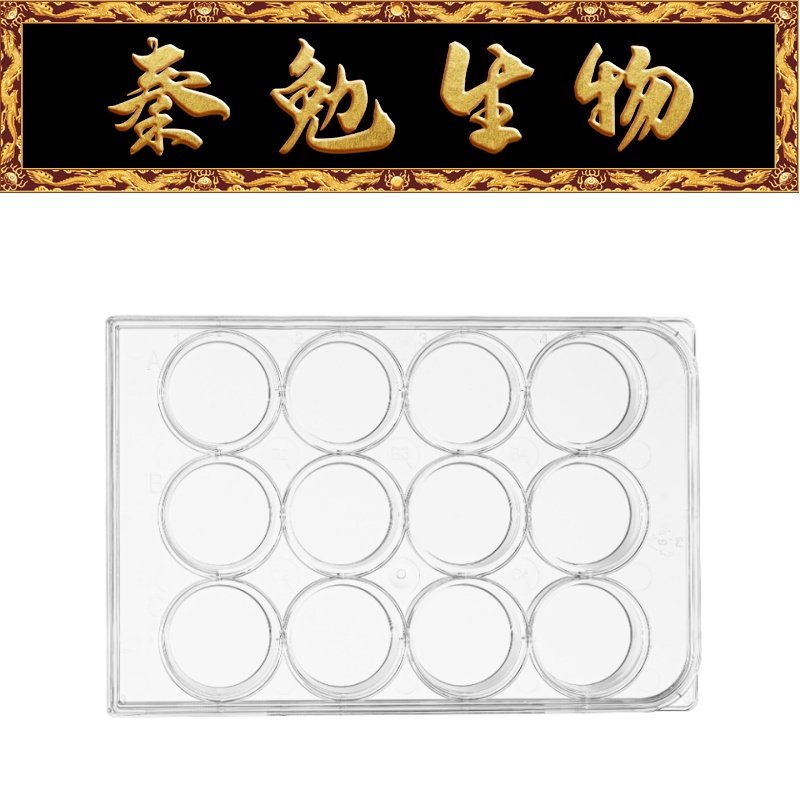 LABSELECT甄选12孔细胞培养板