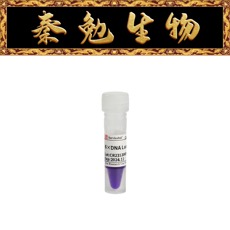 赛维尔6×DNA上样缓冲液