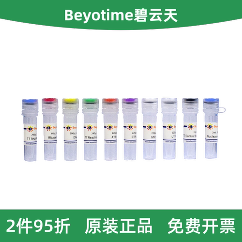 碧云天T7高产量RNA转录试剂盒