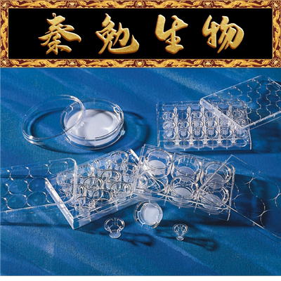 CorningTranswell嵌套3401