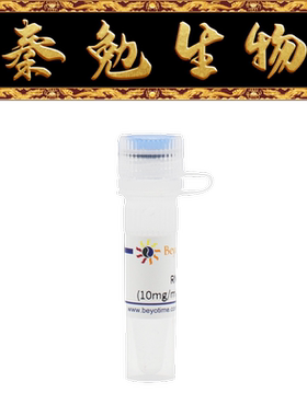 碧云天 ST578 RNase A (10mg/ml)