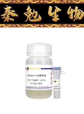 碧云天 AF0315 VEGFR-1 Rabbit Polyclonal Antibody