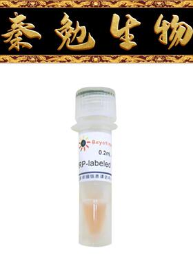 碧云天 A0303 辣根过氧化物酶标记Streptavidin