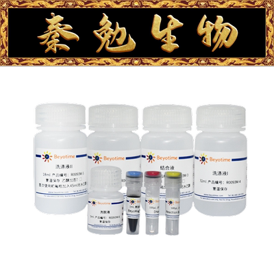 碧云天磁珠法血液RNA抽提试剂盒