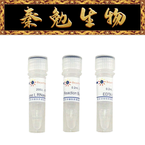 碧云天DNaseID7073D7076