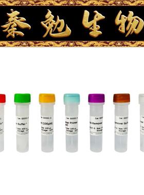 赛维尔 货号：G3331-100 SweScript RT I第一链cDNA合成试剂盒