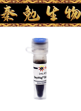 碧云天 P2151-200μl/1ml/5ml BeyoMag™链霉亲和素磁珠