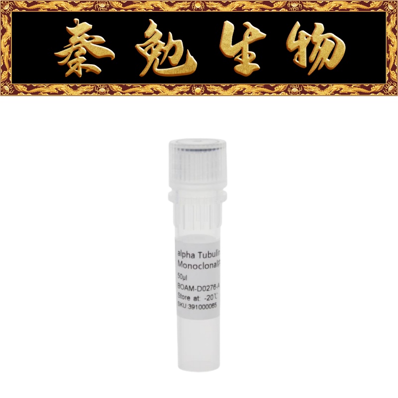 白鲨alphaTubulinMousemAb