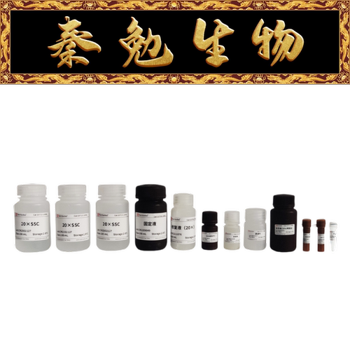 赛维尔原位杂交DABGF009-50T