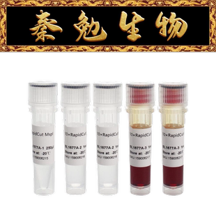 Biosharp白鲨 BL1677A RapidCut MspI 快速限制性内切酶