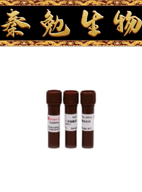 索莱宝 货号：G8142 GoldView II型核酸染色剂(5000×)