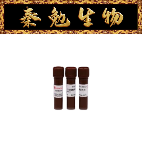 索莱宝II型核酸染色剂G8142