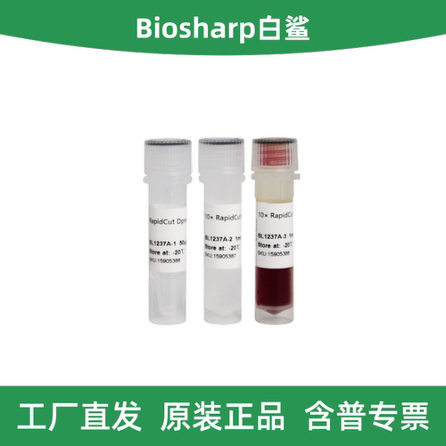 Biosharp白鲨RapidCutDpnI