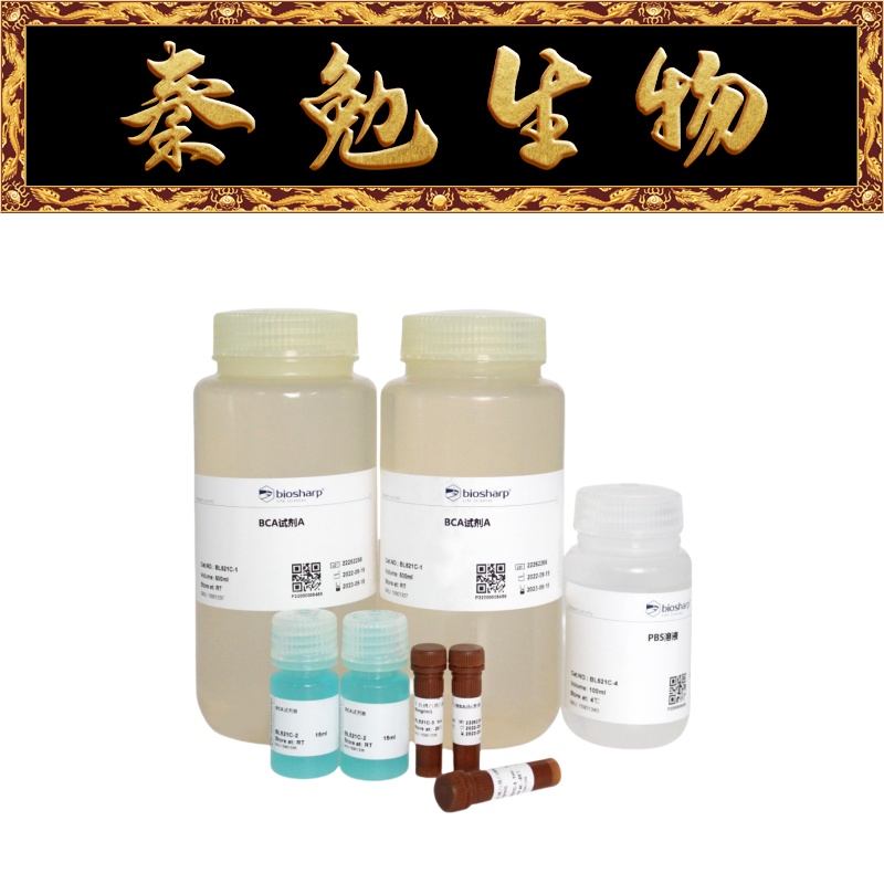 BiosharpBCA蛋白浓度测定试剂盒