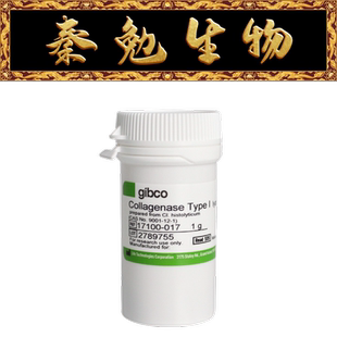 Gibco 017 胶原酶I型Collagenase 货号：17100