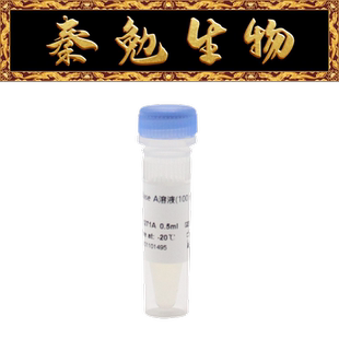 Biosharp白鲨 BL1271A RNase A溶液(100 mg/mL)