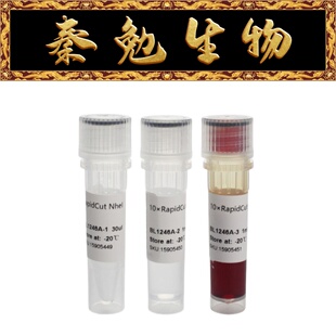 Biosharp白鲨 BL1246A RapidCut NheI 快速限制性内切酶