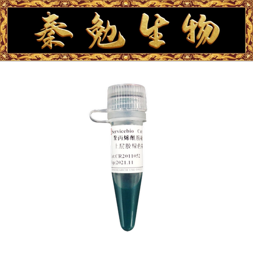 赛维尔聚丙烯酰胺凝胶上层胶