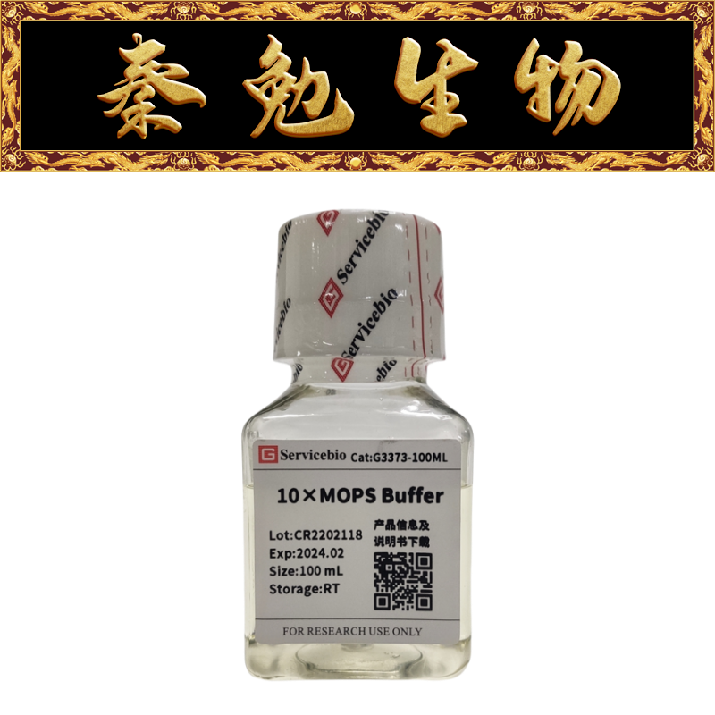 赛维尔10×MOPSBuffer