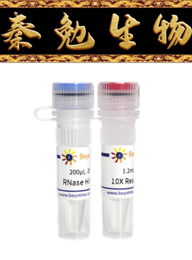 碧云天 R7089S/R7089M/R7089L 核糖核酸酶HII