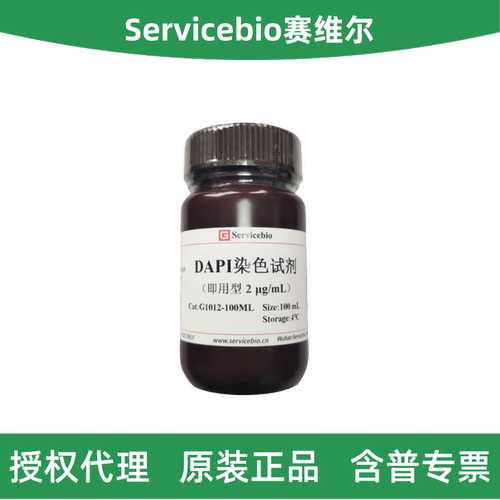 赛维尔DAPI染色试剂（即用型）