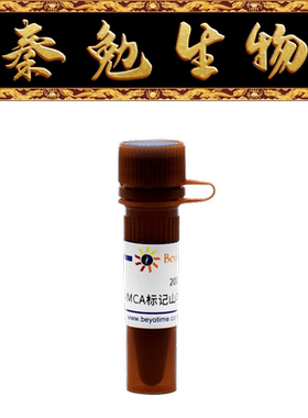 碧云天 A0409 AMCA标记山羊抗兔IgG(H+L)