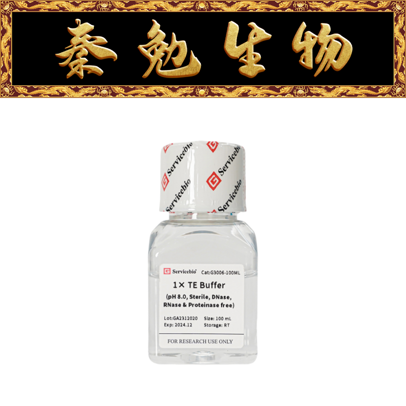 赛维尔1×TEBufferG3006-100ML