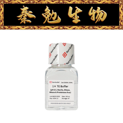 赛维尔1×TEBufferG3006-100ML