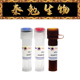 碧云天 R0639S/M/L AlkB (RNA/DNA去甲基化酶, Nuclease-free)